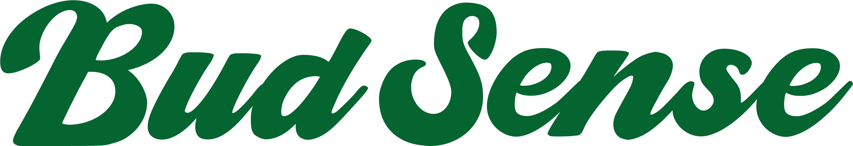 LOGO BUDSENSE